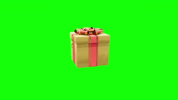 Moving Opening Present Green Screen Background Isolated — Stock Video