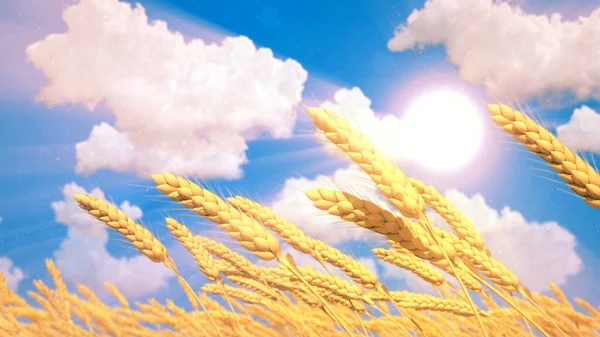 Mogna Råg Spikelets Fältet Fin Sommardag Cgi Natur Rendering — Stockfoto