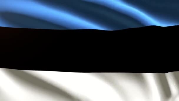 Estonsko Slavnostní Vlajka Smyčka Animace — Stock video