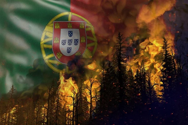 Лісова Пожежа Концепція Стихійного Лиха Пекельний Вогонь Лісі Тлі Португальського — стокове фото