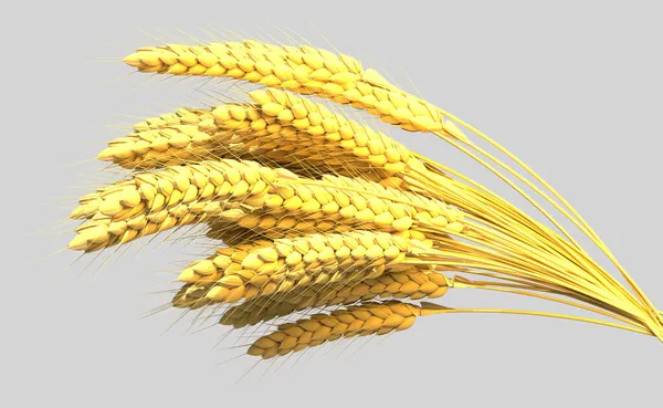 Goldenen Roggen Oder Weizen Bündel Landwirtschaftliche Erträge Isoliert Digital Nature — Stockfoto