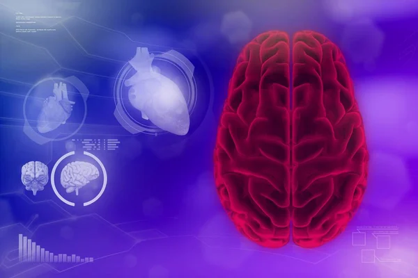Ανθρώπινος Εγκέφαλος Νοητική Ανάπτυξη Έννοια Πολύ Λεπτομερές Σύγχρονο Υπόβαθρο Ιατρική — Φωτογραφία Αρχείου