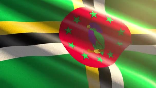 Bandera Brillante Dominica Animación Bucle — Vídeo de stock