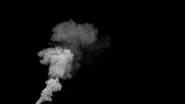 Säule Aus Co2 Emissionen Rauch Mit Alpha Kanal Isoliert — Stockvideo