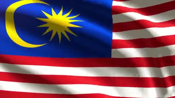 Malajzia Ünnepi Zászló Hurok Animáció — Stock videók