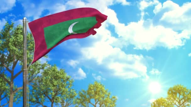 Flag Maldives Sunny Day Sunlight Happiness Symbol — Stock Video