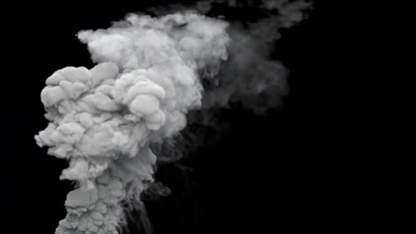 アルファチャンネルと隔離された汚染煙の柱 — ストック動画