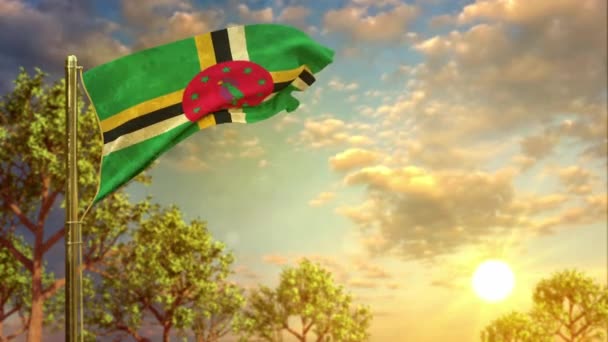Anma Günü Için Dominica Bayrağını Sallıyor — Stok video