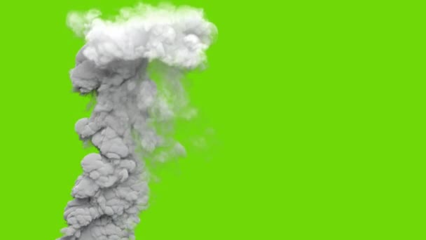 Szary Słup Dymu Emisji Co2 Elektrowni Węglowej Zielonym Ekranie Izolowany — Wideo stockowe