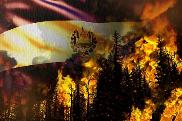 Forest Fire Natural Disaster Concept Burning Fire Trees Salvador Flag — Stock Photo, Image