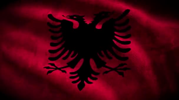Albánie Grunge Flag Smyčka Animace — Stock video