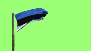 Estonya 'nın bağımsızlık bayrağını Chroma Key ekranında sallayan, izole edilmiş