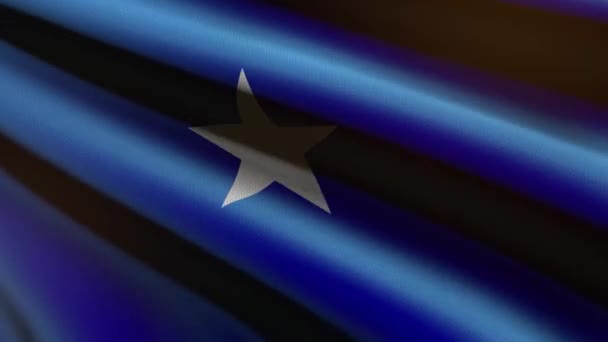 Somalia Flagge Schleifenanimation — Stockvideo