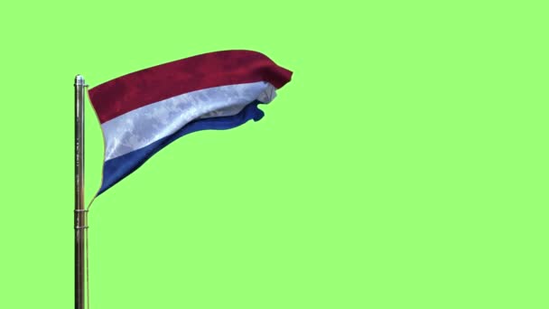 Ondeando Bandera Holanda Para Día Bandera Pantalla Croma Key Aislado — Vídeos de Stock