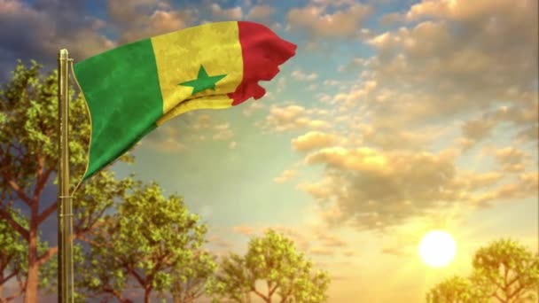 Szenegál Zászlaját Lobogtatva Naplementekor Nemzeti Ünnep Alkalmából — Stock videók