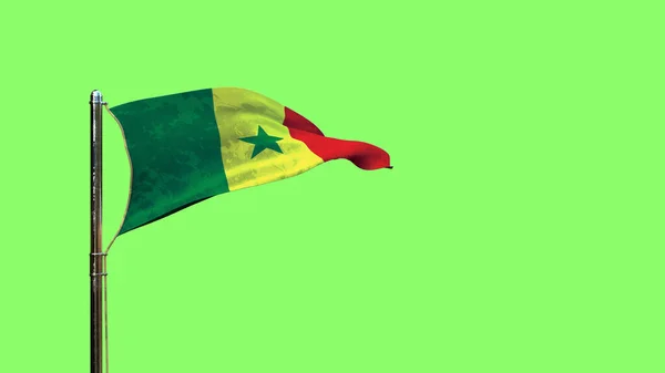 Waving Flag Senegal National Holiday Green Screen Isolated Object Rendering — Stockfoto