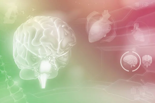 Medical Illustration Human Brain Wisdom Discovery Concept Highly Detailed Tech — Fotografia de Stock