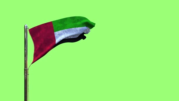 Bandiera Sventolante Degli Emirati Arabi Uniti Qualsiasi Vacanza Sullo Schermo — Video Stock