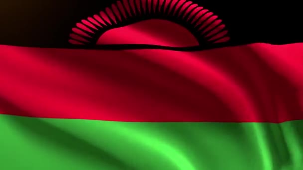 Malawi Festive Flag Loop Animation — стокове відео