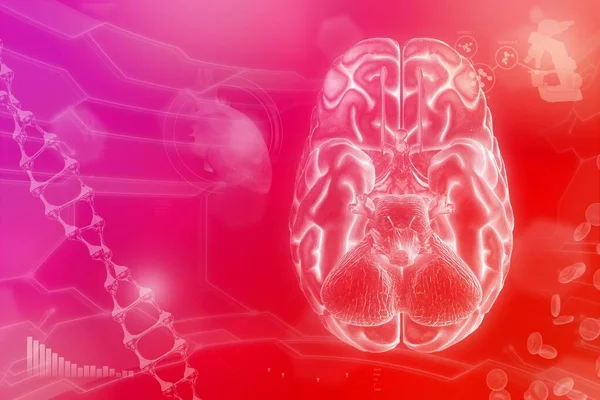 Medical Illustration Human Brain Nervous Research Concept Very Detailed Tech — Fotografia de Stock