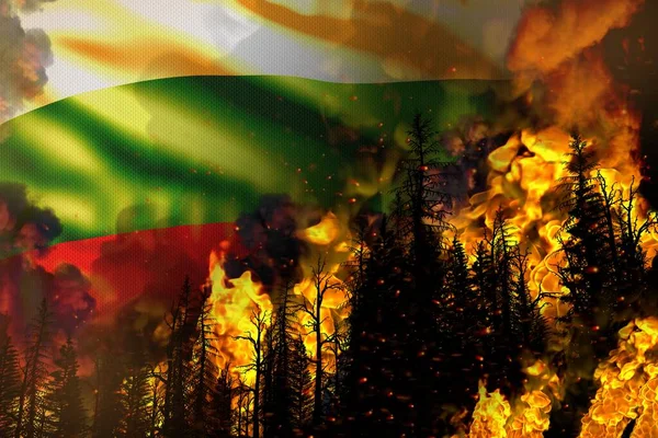 Forest Fire Natural Disaster Concept Heavy Fire Trees Bulgaria Flag — Stockfoto