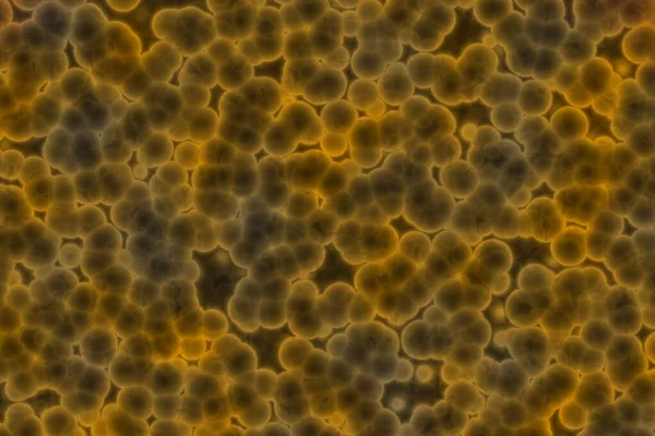 Modern Design Orange Lot Biological Bacterias Background Texture Illustration — Stockfoto