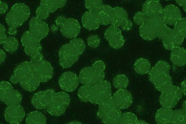 Modern tasarım çok sayıda biyo-hücre dijital grafik desen çizimi