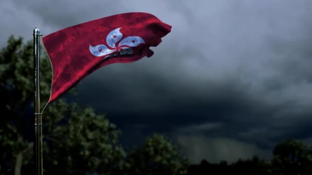 어두운 폭풍때문에 때마다 국기흔들기 — 비디오