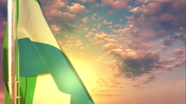 Bayrak Bayram Için Gün Batımında Gökyüzünde Asılı Yumuşak Odak — Stok video