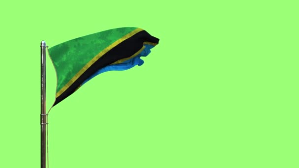 Bağımsızlık Günü Için Tanzanya Bayrağını Sallayan Krom Anahtar Ekranda Izole — Stok video