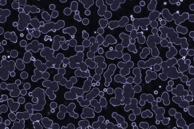 inanılmaz biyo-rastgele sesler bilgisayar grafikleri arkaplan illüstrasyonu