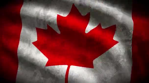 Kanada Grunge Flagge Loop Animation — Stockvideo