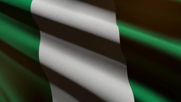 ナイジェリアの旗 ループアニメーション — ストック動画