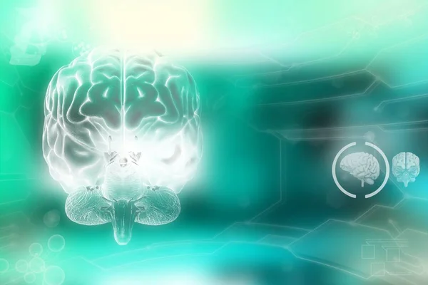 Lékařská Ilustrace Lidský Mozek Koncepce Neurochirurgické Analýzy Vysoce Detailní Tech — Stock fotografie