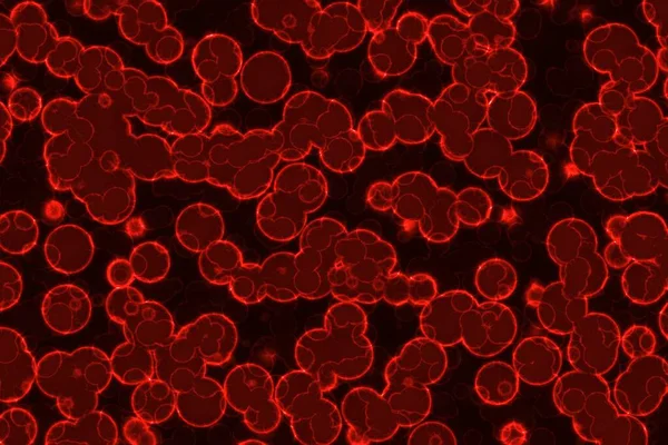 Progettazione Bella Grande Quantità Rossa Cellule Organiche Struttura Del Computer — Foto Stock