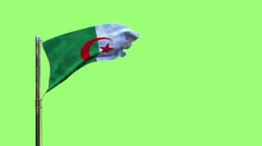 Krom ekranda marş günü için Cezayir bayrağı sallayan, izole edilmiş