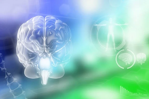 Ανθρώπινος Εγκέφαλος Alzheimer Έννοια Ανάλυσης Λεπτομερή Υψηλής Τεχνολογίας Υφή Φόντο — Φωτογραφία Αρχείου