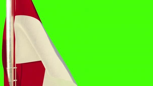 Appeso Bandiera Giorno Dell Indipendenza Sullo Schermo Verde Isolato — Video Stock