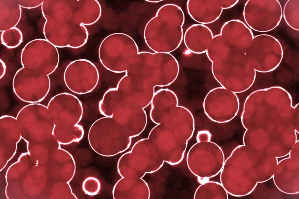 Erstaunliches Design Viele Biologische Lebende Zellen Digitale Grafik Hintergrundillustration — Stockfoto