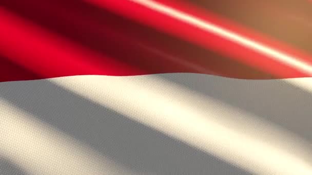 Indonezja Błyszcząca Flaga Animacja Pętlowa — Wideo stockowe