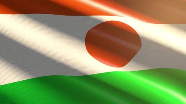 Niger Fényes Zászló Hurok Animáció — Stock videók