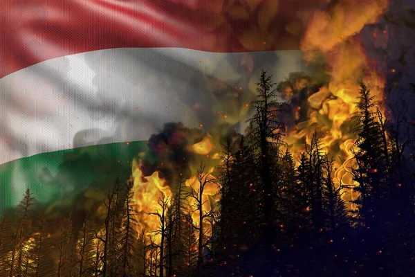 Forest Fire Natural Disaster Concept Infernal Fire Woods Hungary Flag — Stock Photo, Image