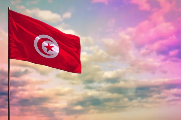 Fluttering Τυνησία Σημαία Mockup Τον Τόπο Για Κείμενό Σας Πολύχρωμο — Φωτογραφία Αρχείου
