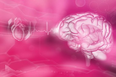 İnsan beyni, anatomi analiz konsepti. Detaylı yüksek teknoloji geçmişi, tıbbi 3 boyutlu illüstrasyon.