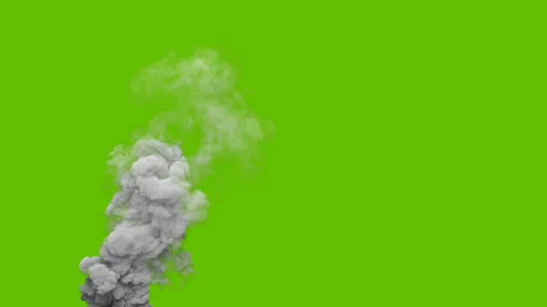 クロマキースクリーン上の森林火災から灰色の汚染煙列 工業用3Dイラスト — ストック写真