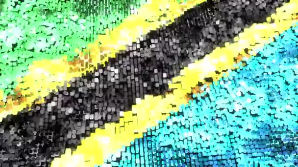 Яркий Флаг Танзании Петля — стоковое видео
