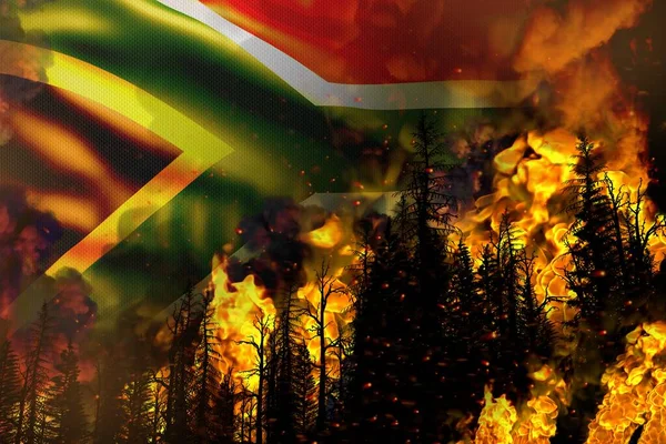 Nagy Erdőtűz Harc Koncepció Természeti Katasztrófa Égő Tűz Fák Dél — Stock Fotó