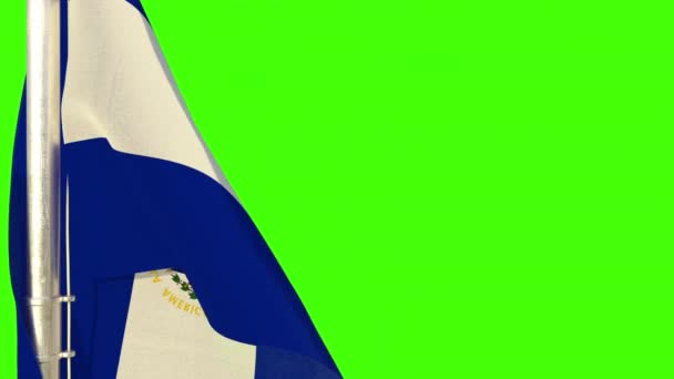 Steag Agățat Pentru Orice Vacanță Ecran Verde Izolat — Videoclip de stoc
