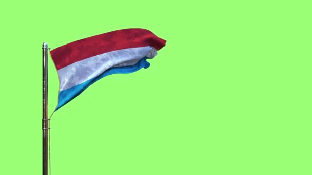 Ondeando Bandera Luxemburgo Para Día Bandera Pantalla Verde Aislado — Vídeos de Stock