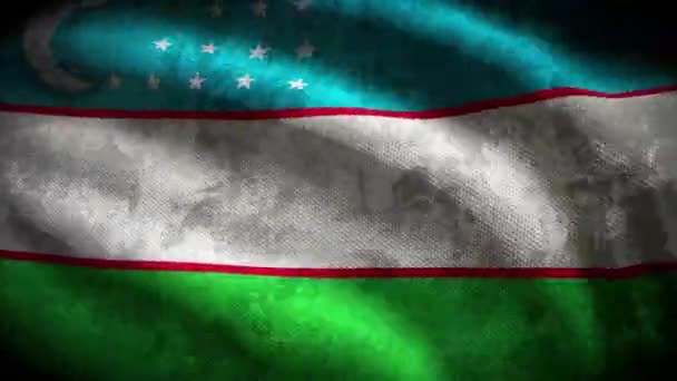 Özbekistan Grunge Bayrağı Döngü Canlandırması — Stok video